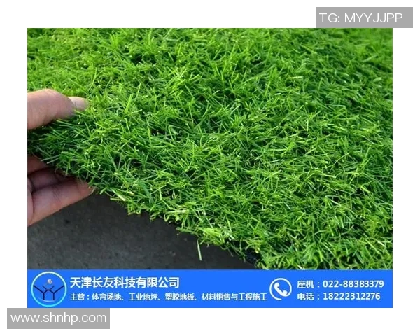 足球场草皮技术揭秘 足球场草皮技术揭秘