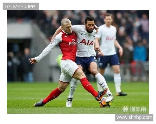 数据模型解析阿森纳胜率预测结果及其影响因素分析 数据模型解析阿森纳胜率预测结果及其影响因素分析